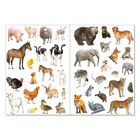 Многоразовые наклейки набор «Такие разные животные», А4, 2 шт. - Фото 3