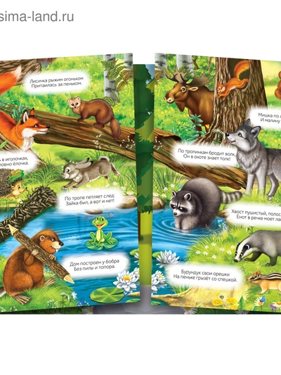 Многоразовые наклейки набор «Изучаем животных», 2 шт.