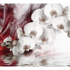 Фотообои флизелиновые Flizetto 3D FUSION «Белая орхидея» 300х270 см - фото 2172517