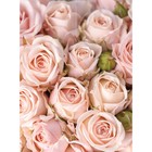 Фотообои флизелиновые Flizetto Matrix «Розовые розы» 200х270 см - фото 298226531