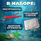 Раскопки «Сокровища океана» - Фото 2