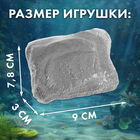 Раскопки «Сокровища океана» - Фото 7