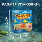 Раскопки «Сокровища океана» - Фото 8