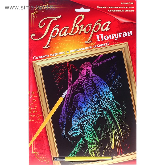 Гравюра "Попугаи" с цветной основой+штихель - Фото 1