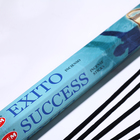 Благовония HEM "Success. Успех", 20 палочек в упаковке, шестигранник - Фото 2