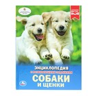 Энциклопедия с развивающими заданиями «Собаки и щенки» - Фото 1