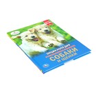 Энциклопедия с развивающими заданиями «Собаки и щенки» - Фото 2