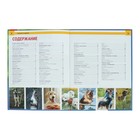 Энциклопедия с развивающими заданиями «Собаки и щенки» - Фото 3