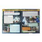 Энциклопедия с развивающими заданиями «Собаки и щенки» - Фото 4