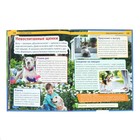 Энциклопедия с развивающими заданиями «Собаки и щенки» - Фото 5