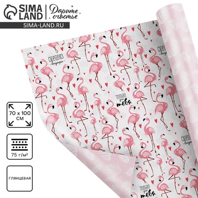 Бумага упаковочная глянцевая двухсторонняя «Фламинго», 70×100 см