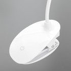 Лампа настольная сенсор на прищепке  "Нуова" 3 режима LED 9Вт USB белый 12,5х7х45,5см RISALUX  44250 - Фото 6