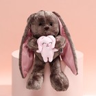 Мягкая игрушка «Li с зайцем», зайка, 25 см - Фото 4