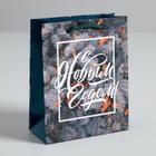 Пакет подарочный новогодний ламинированный «Новогодняя пора», S 5.5 х 12 х 15 см - Фото 1