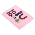 Набор для опытов «Опыты с магнитами, 5 опытов» - Фото 12