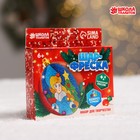 Набор для творчества. Шар-фреска «Прекрасная снегурочка» - Фото 1