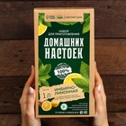 Подарочный набор для приготовления настойки «Имбирно-лимонная», набор трав и специй, бутылка - Фото 10