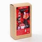 Подарочный набор для приготовления алкоголя «Джин», набор трав и специй, бутылка - Фото 2