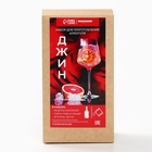 Подарочный набор для приготовления алкоголя «Джин», набор трав и специй, бутылка - Фото 8