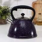 Чайник со свистком «Картун», 3 л, капсульное дно, индукция, цвет МИКС - Фото 1