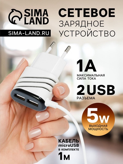 Сетевое зарядное устройство Luazon LCC-24, 2 USB, microUSB, 1 A, 1 м, черно-белое