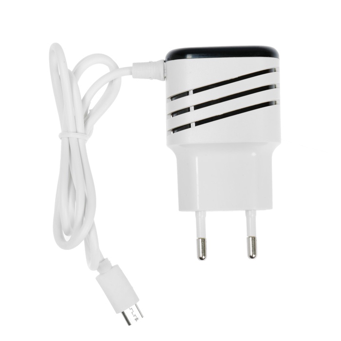 Сетевое зарядное устройство Luazon LCC-24, 2 USB, microUSB, 1 A, 1 м, черно-белое - фото 51800175