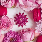 Брошь «Цветок» хризантема, цвет малиновый в серебре - фото 11677555