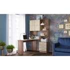 Ясень шимо темный/светлый 4571272