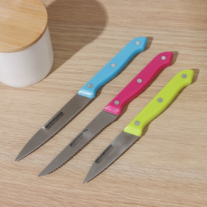 Набор кухонных ножей Доляна «Кулинарные изыски», 3 предмета, лезвие 19 см, 22 см, 23 см, цвет МИКС - Фото 1