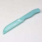 Набор кухонных принадлежностей Доляна «Керамик», 3 предмета: нож 16 см, овощечистка 12 см, доска 19.5×15.5 см, голубой - Фото 3