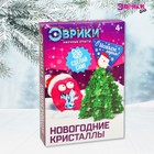 Выращивание кристаллов «Дед Мороз» - Фото 1