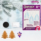 Выращивание кристаллов «Мышка» - Фото 2