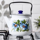 Чайник с кнопкой «Цветы синие», 3,5 л, индукция, цвет белый - фото 4283764