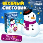 Набор для опытов «Весёлый снеговик» - Фото 1