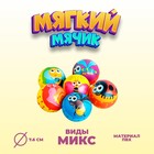 Мяч мягкий «Насекомые», 7,6 см , виды МИКС - фото 8870012