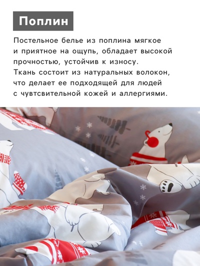 Постельное бельё евро «Этель. Зимние игры», поплин