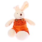 Мягкая игрушка «Зайка», голубой костюм, виды МИКС - фото 24438221