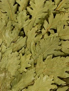 Веник для бани дубовый, с чабрецом - Фото 4