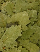 Веник для бани «Лавандовый прованс», дубовый, с лавандой - Фото 3