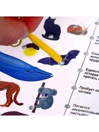 Электровикторина «Размышляй-ка», 7-12 лет - Фото 6