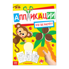 Аппликация с раскрасками «Что где растёт», 20 стр., формат А4 - Фото 1