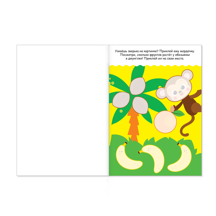 Аппликация с раскрасками «Что где растёт», 20 стр., формат А4 - фото 1884958547