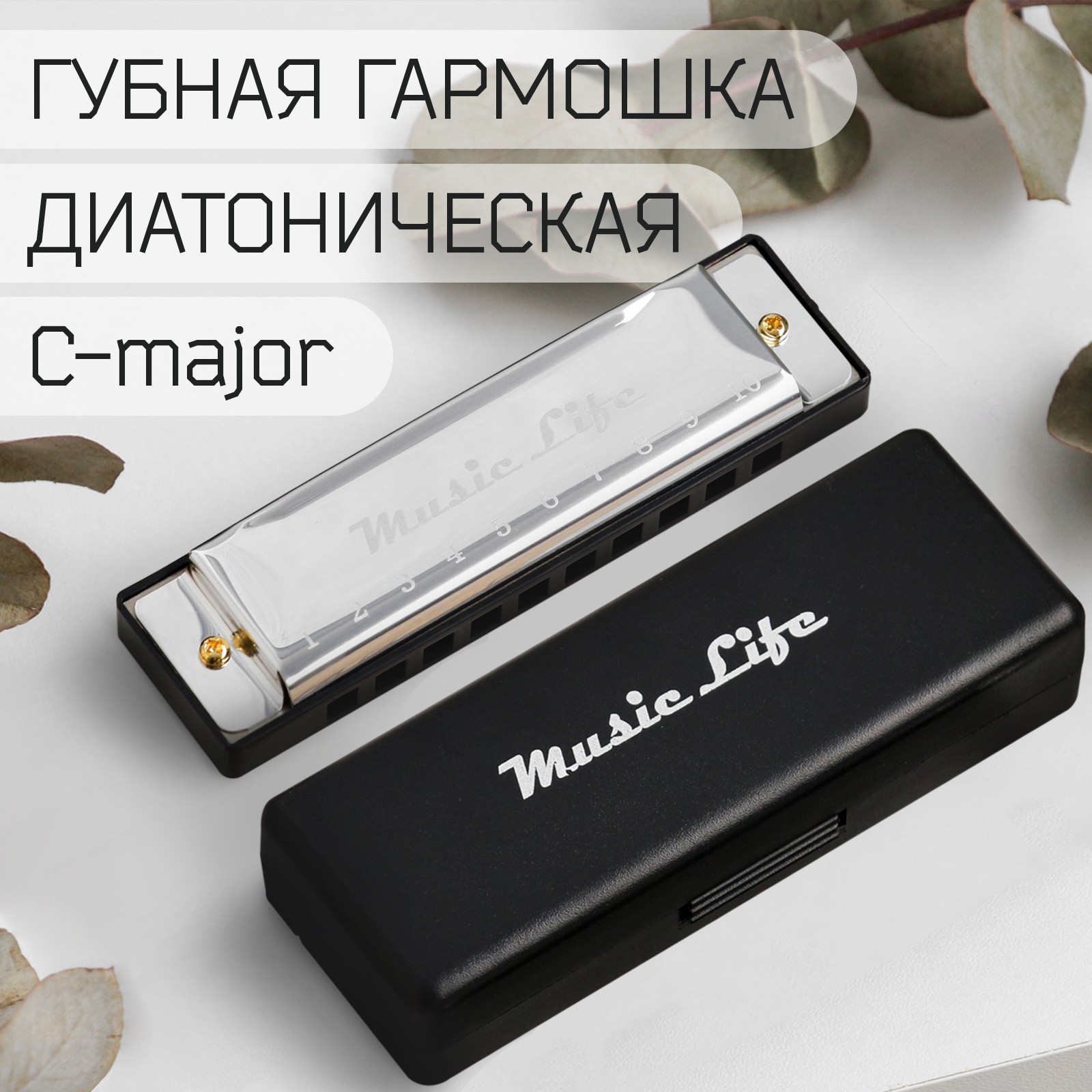 Губная гармошка Music Life, диатоническая, C-major, с футляром, серебристая  (4417174) - Купить по цене от 219.00 руб. | Интернет магазин SIMA-LAND.RU