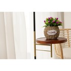 Кашпо плетёное Доляна «Цветы», 12×15×13 см, цвет коричневый - Фото 6