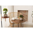 Кашпо плетёное Доляна «Цветы», 12×15×13 см, цвет коричневый - Фото 7