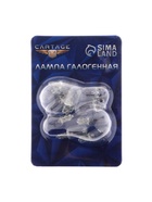 Галогенная автомобильная лампа Cartage, T10, W5W, 5 Вт, 12 В, набор 10 шт. - Фото 5