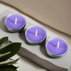 Набор подарочный «Париж» (диффузор и свечи) фиалка, «Богатство Аромата» - Фото 3