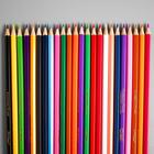 Цветные карандаши, 24 цвета, шестигранные, Маша и Медведь - Фото 2