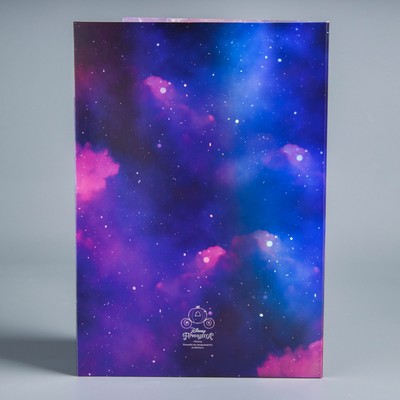 Папка для документов, Принцессы Дисней