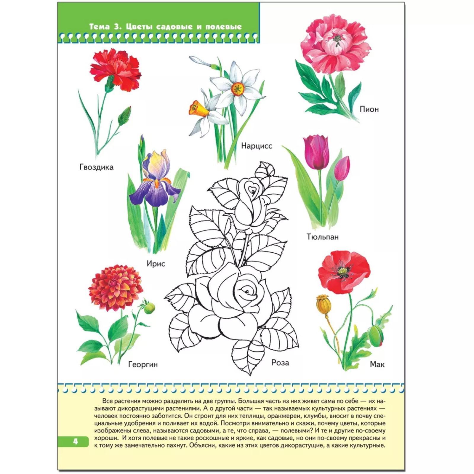 Лексической теме цветы. Лексической теме цветы. Первоцветы домашнее задание логопеда. Задания цветы. Первоцветы рекомендации для родителей.